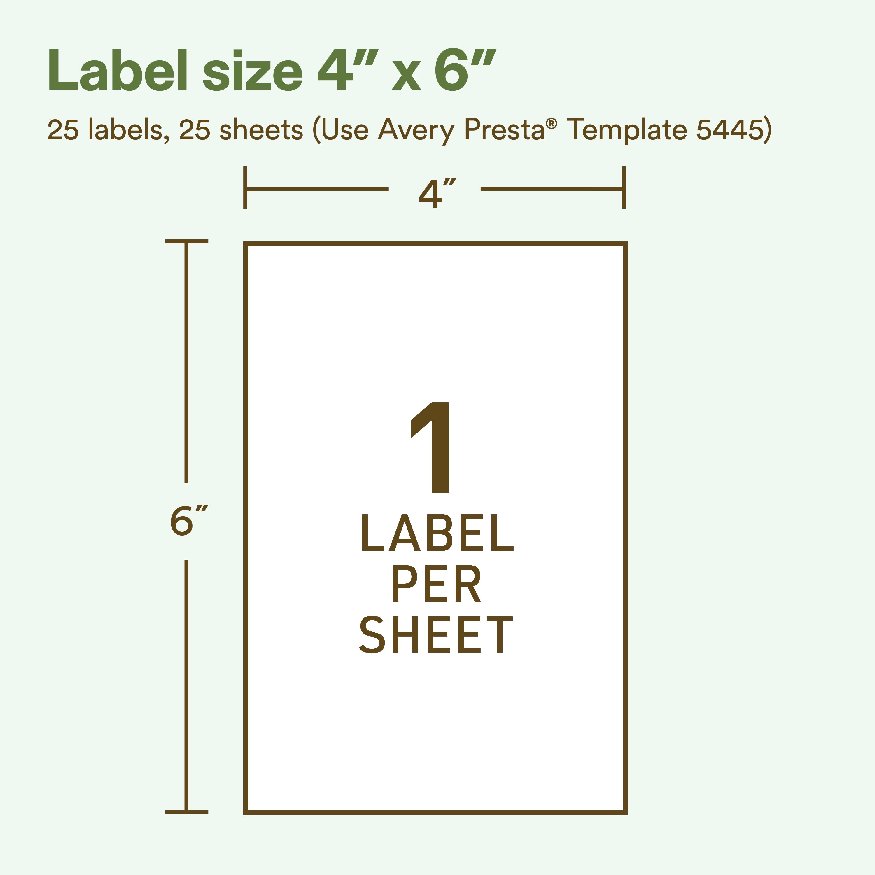 Product 5445 Image 4