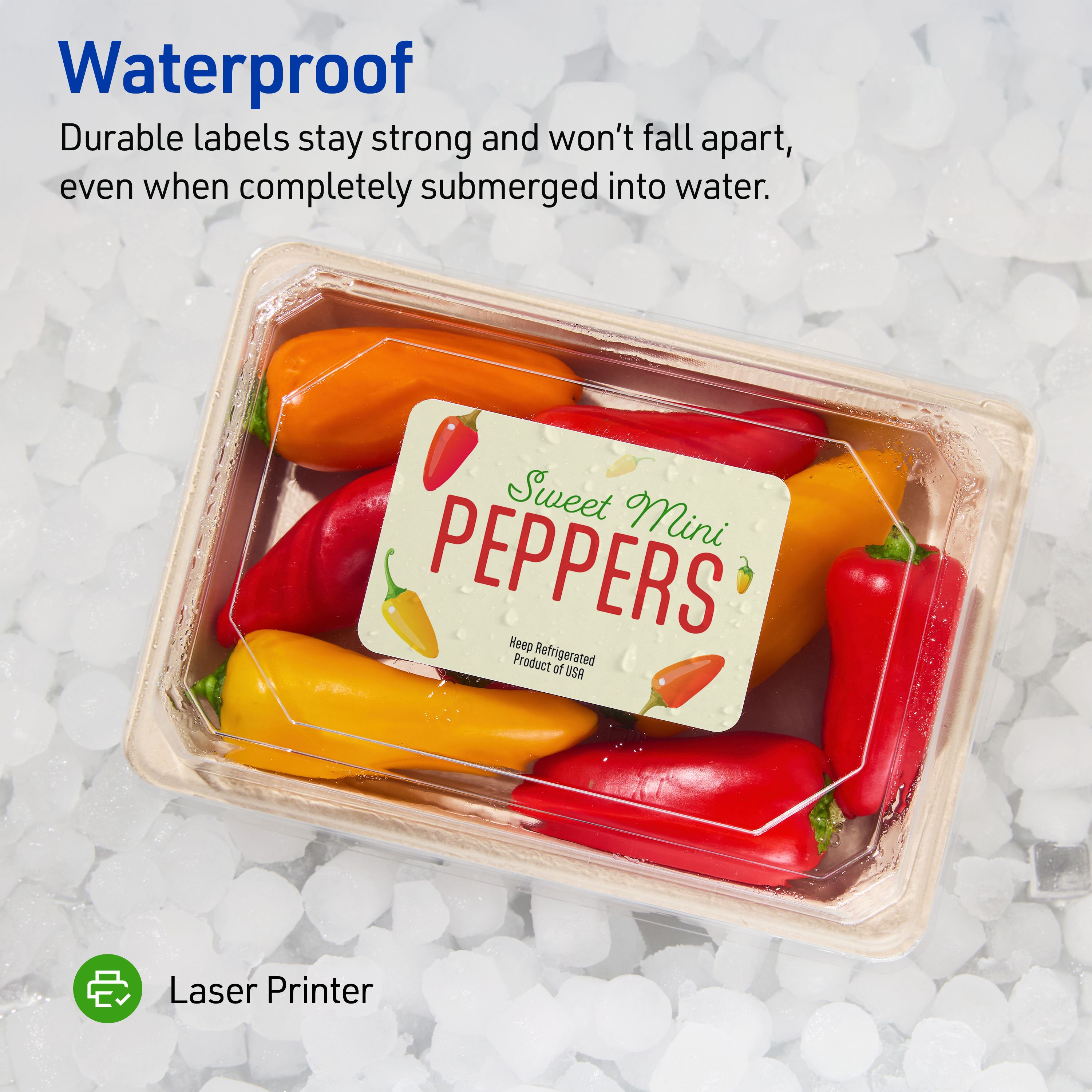 Product 5526 Image 3