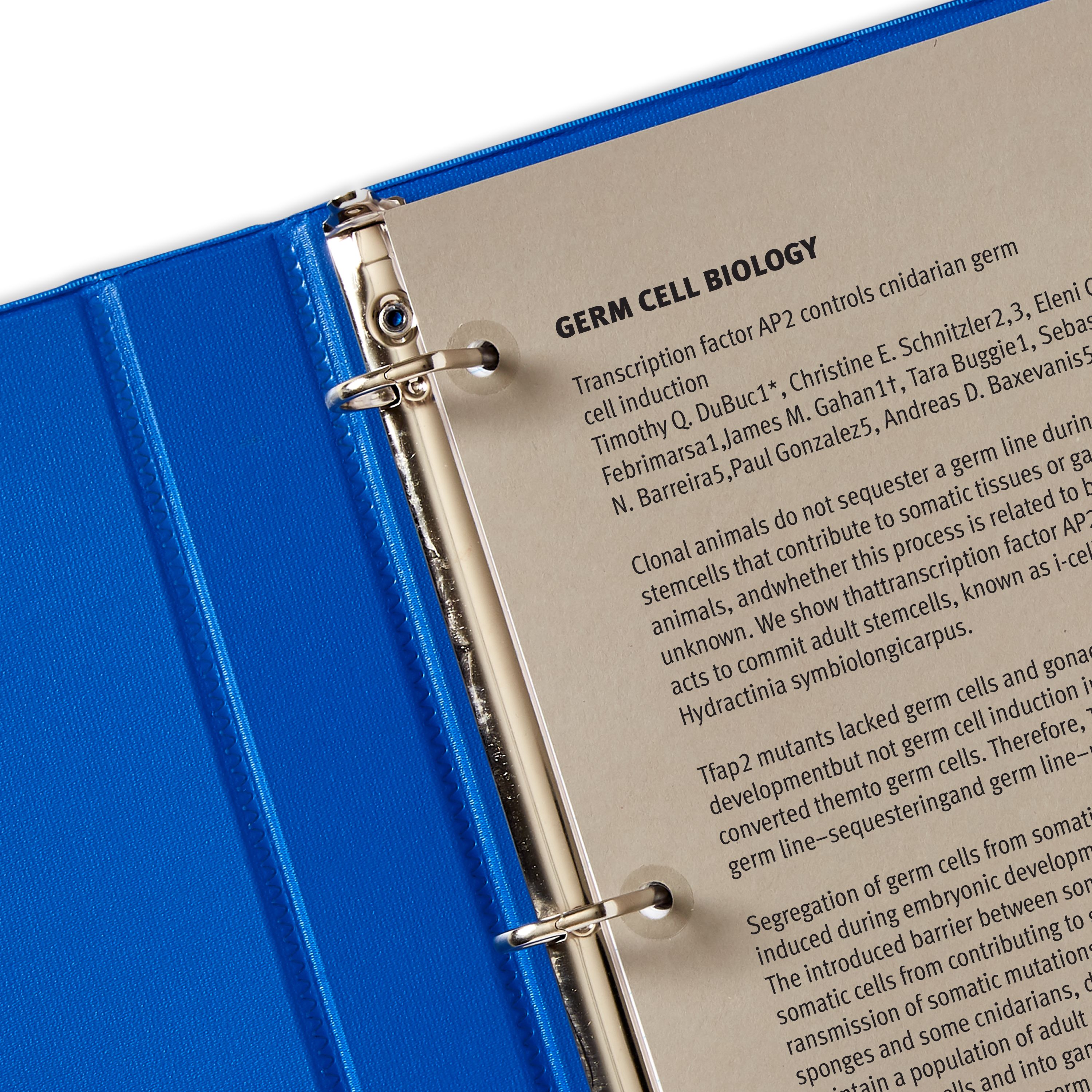 Product 5721 Image 7