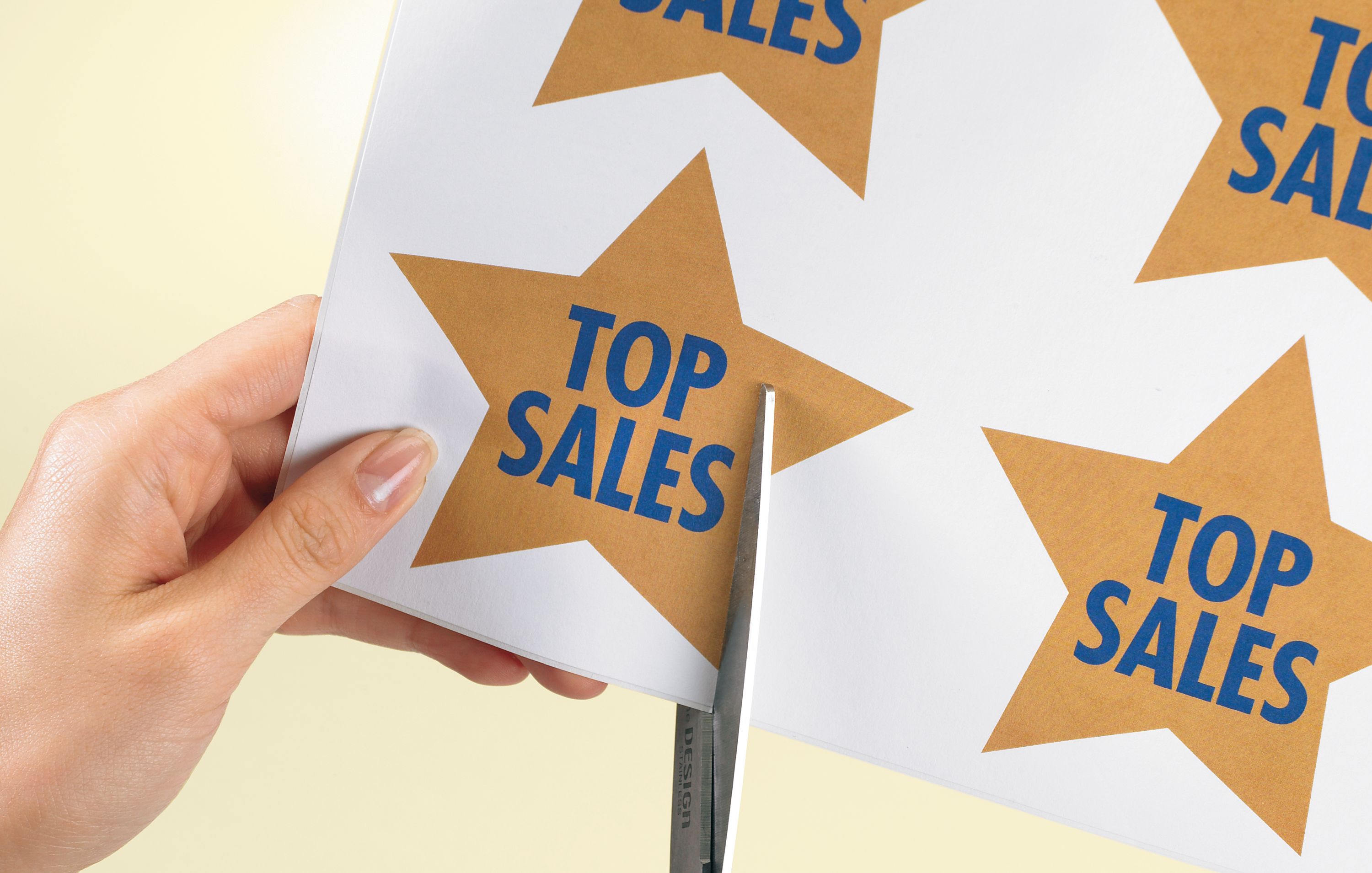 Product 6465 Image 3