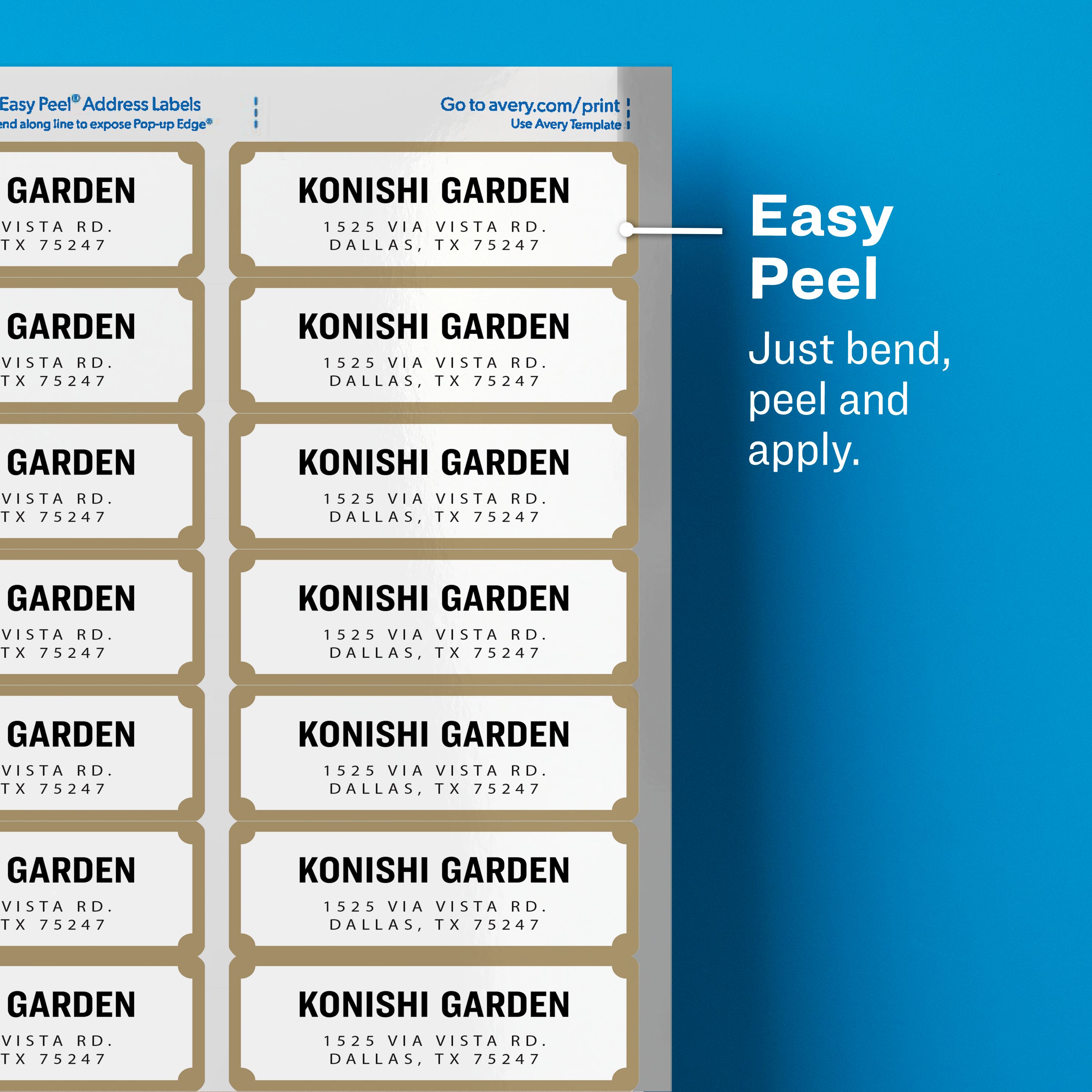 Product 6529 Image 2