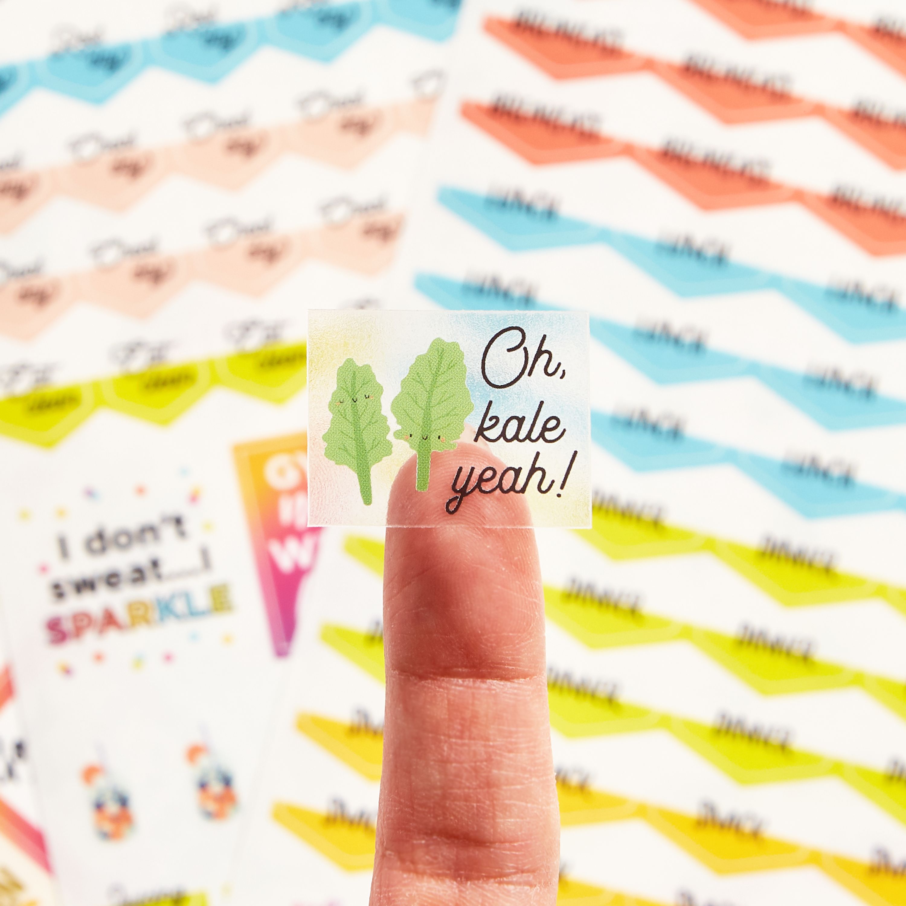 Avery Fitness Planner Stickers - 1,362 Health & Workout Stickers For Journals & Calendars