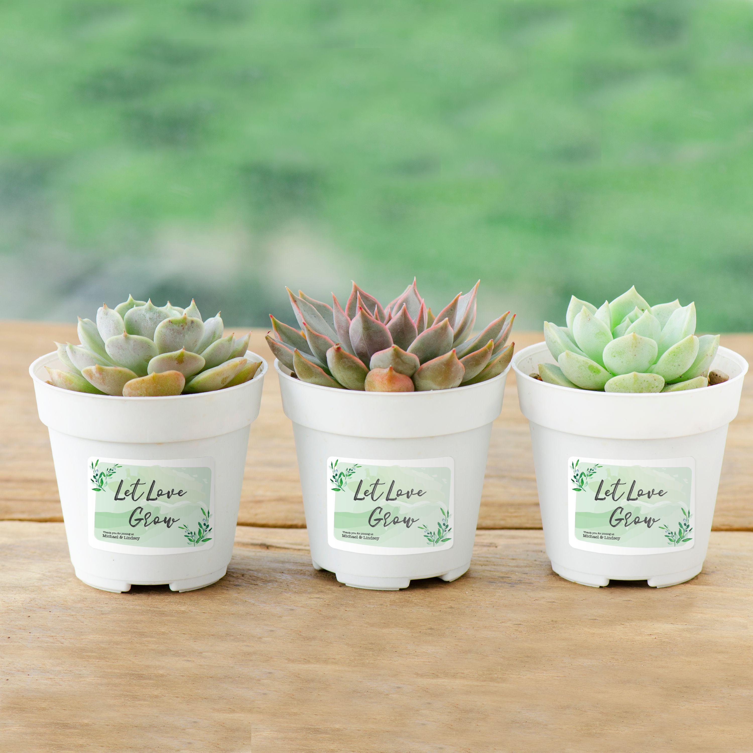 Product 6793 Image 7