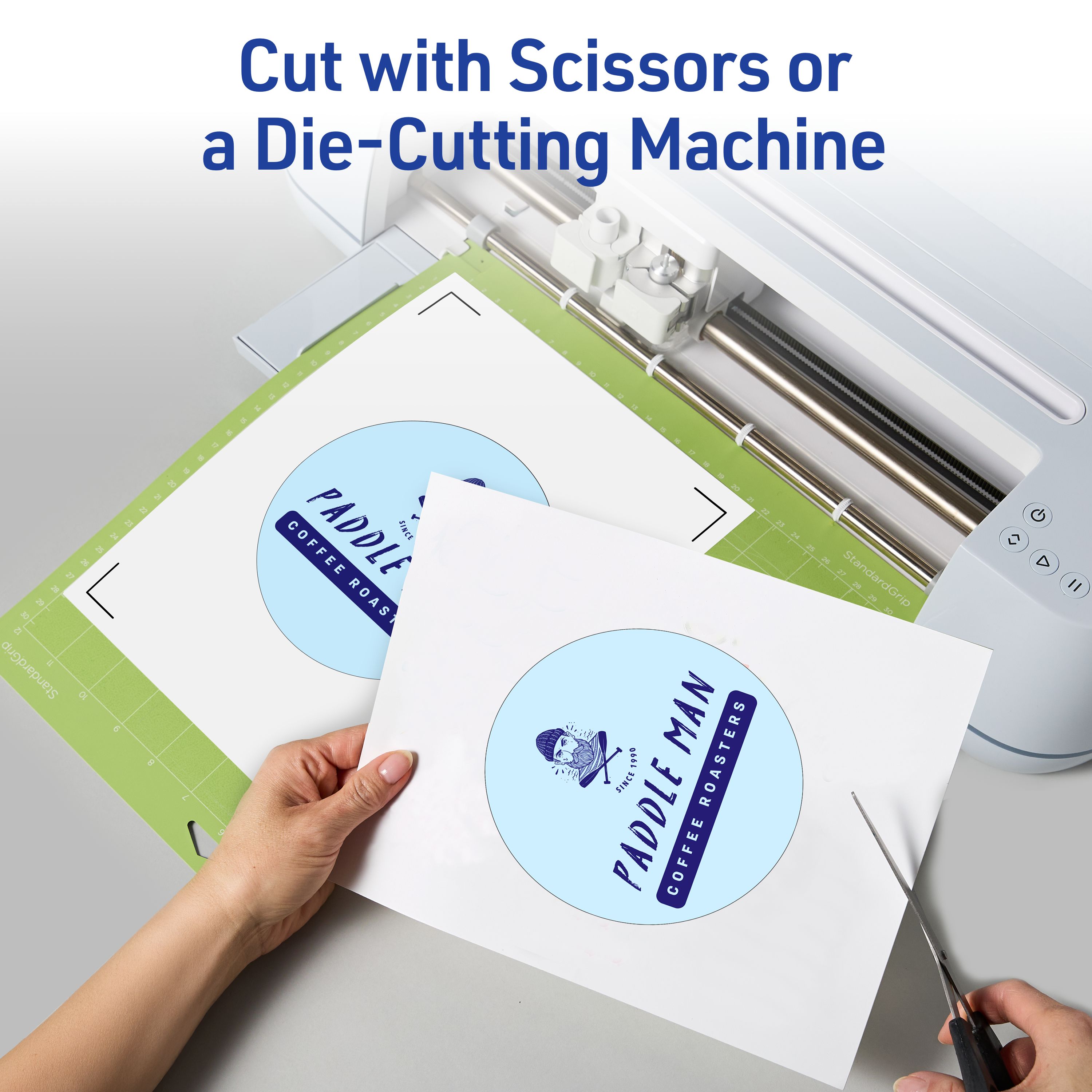 Product 8938 Image 5