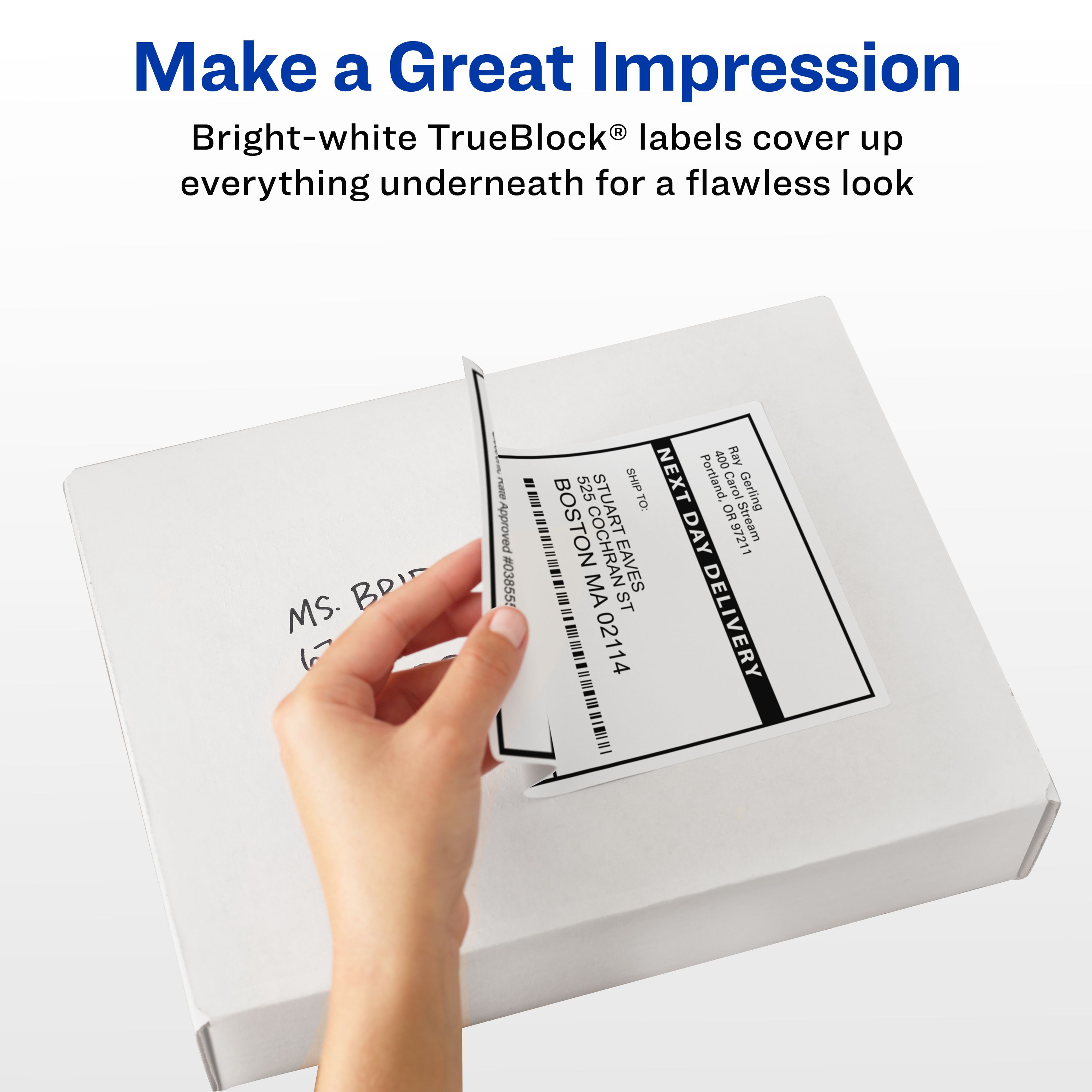 Product 21526 Image 4