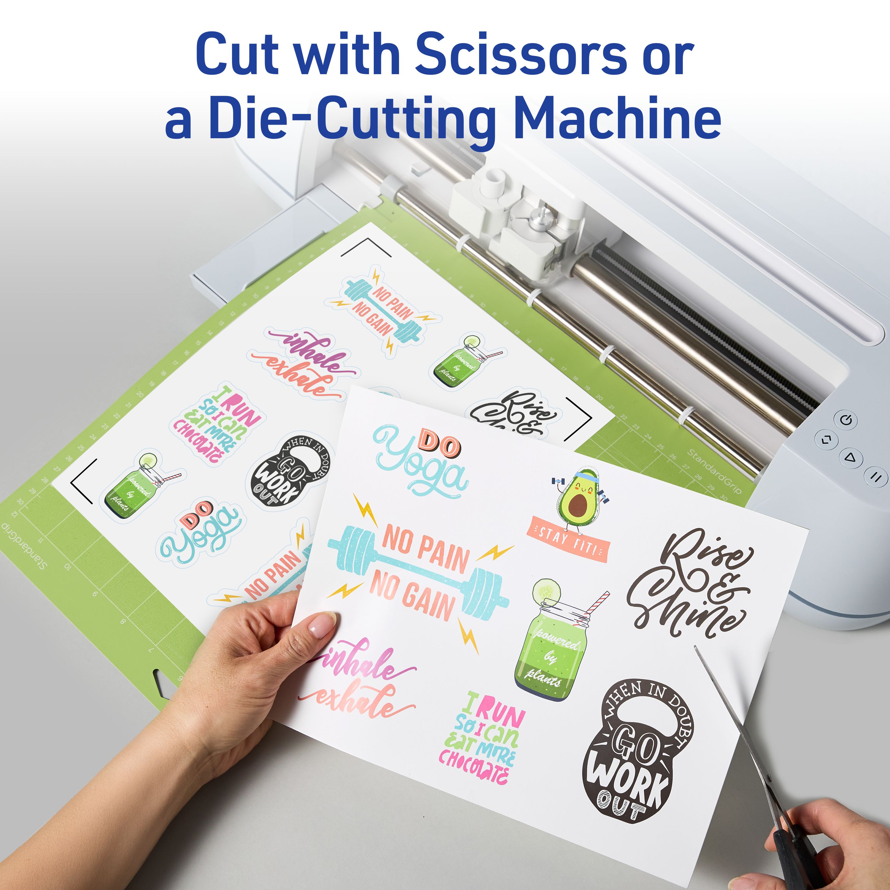 Product 22286 Image 5