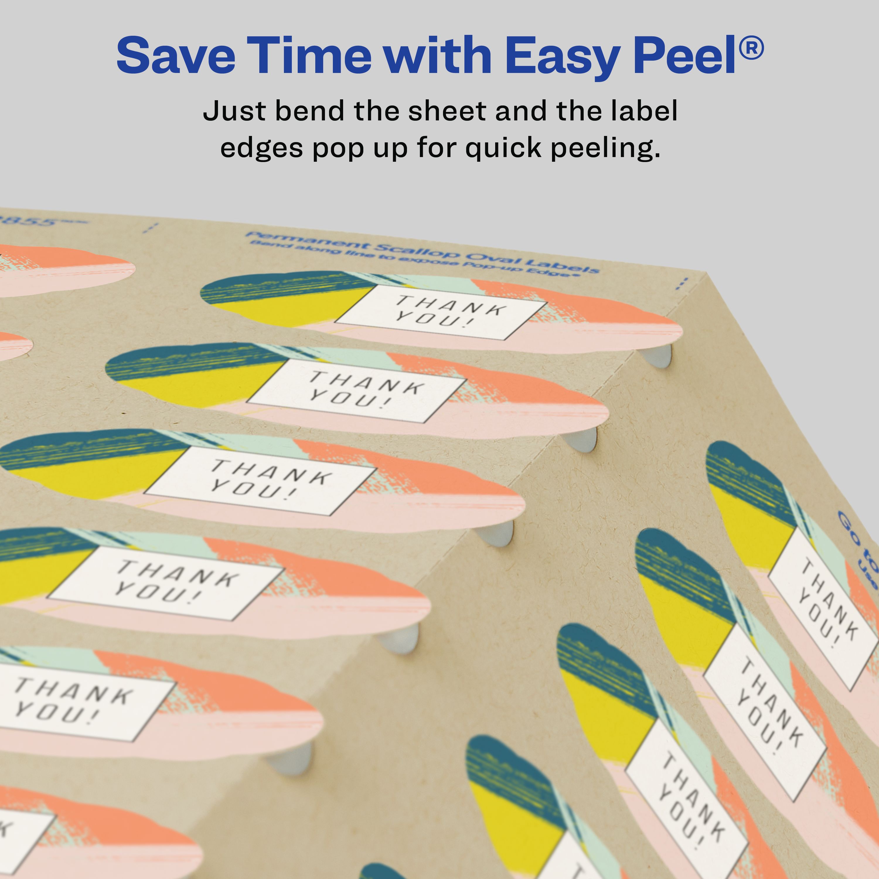 Product 22855 Image 6