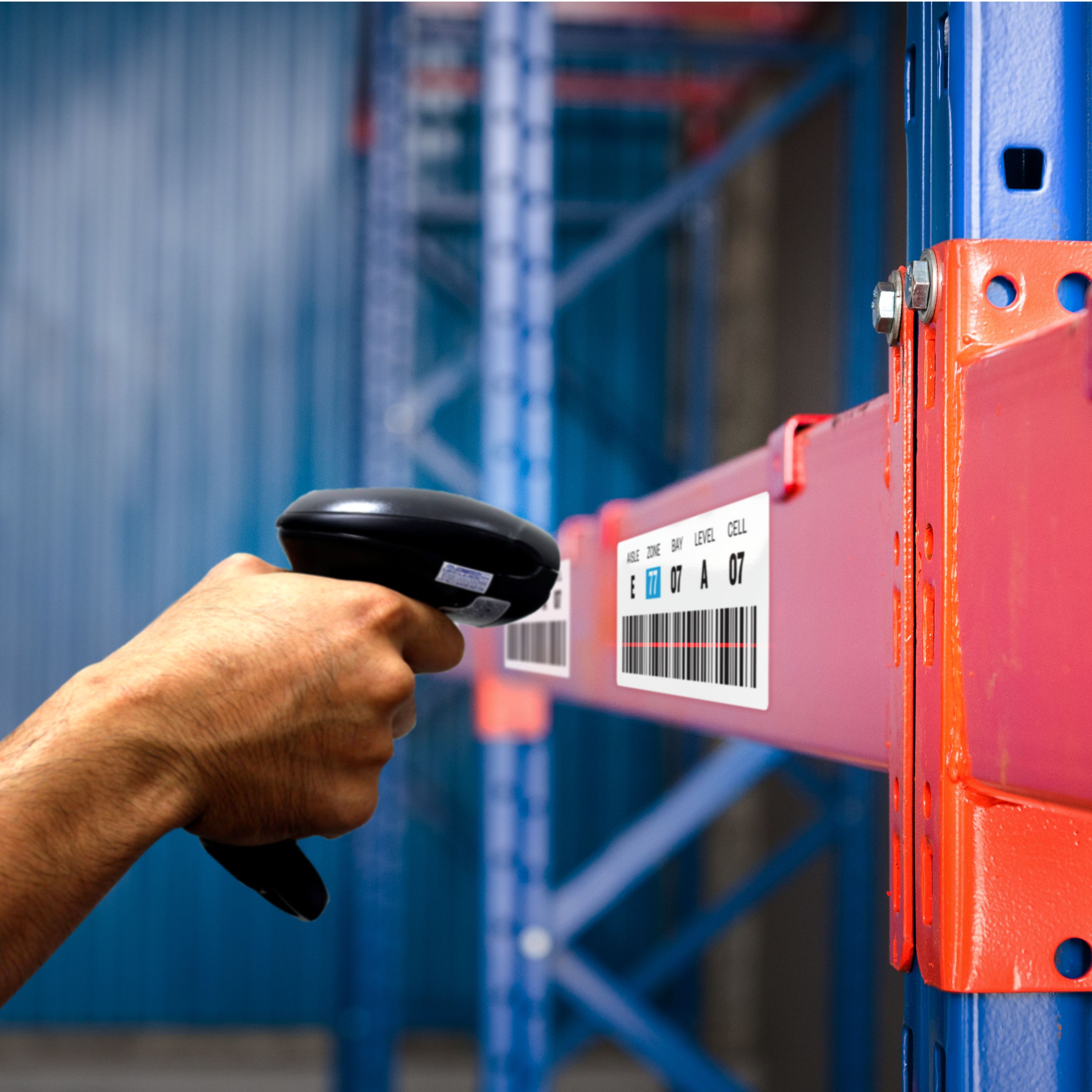 Product 61505 Image 3