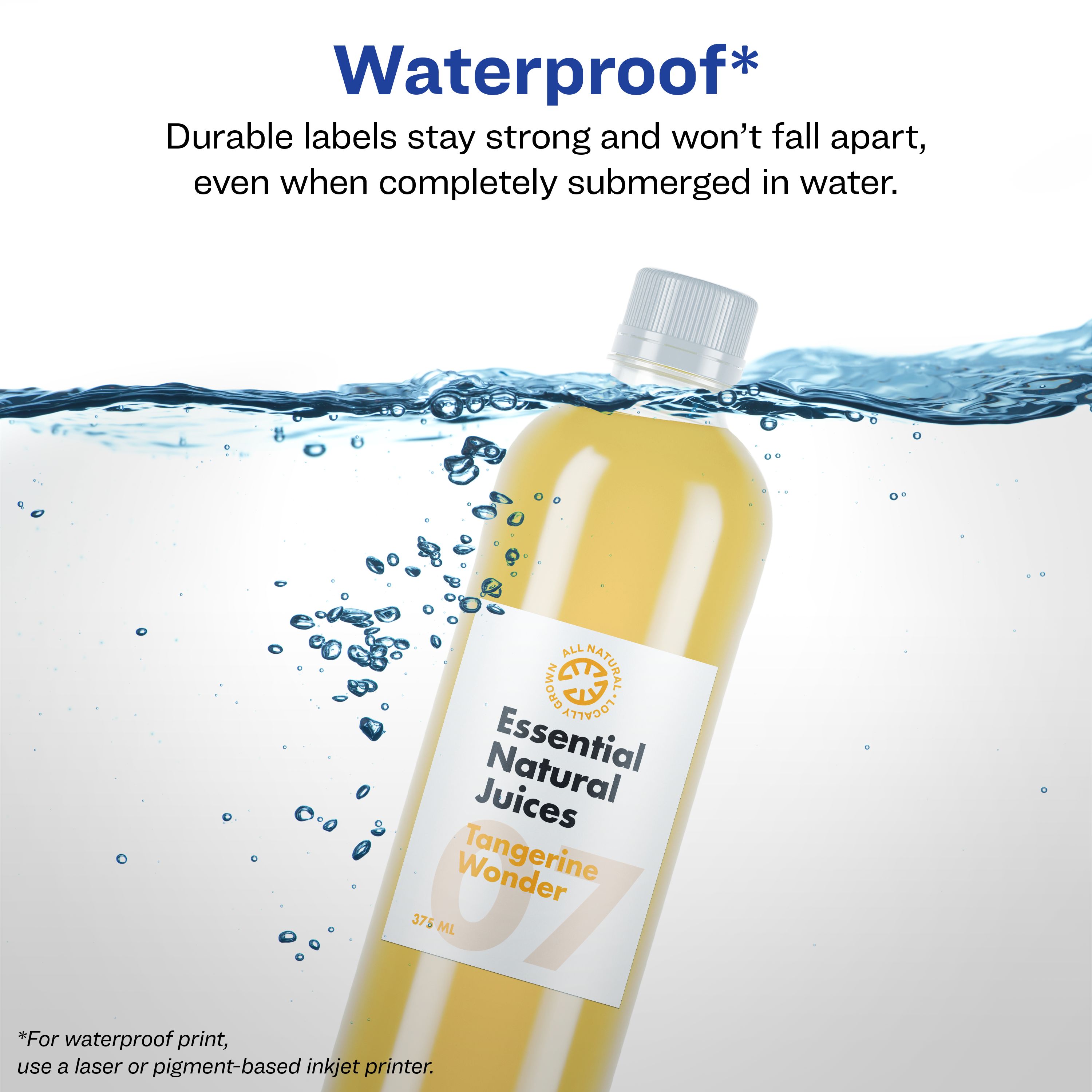 Product 64505 Image 3