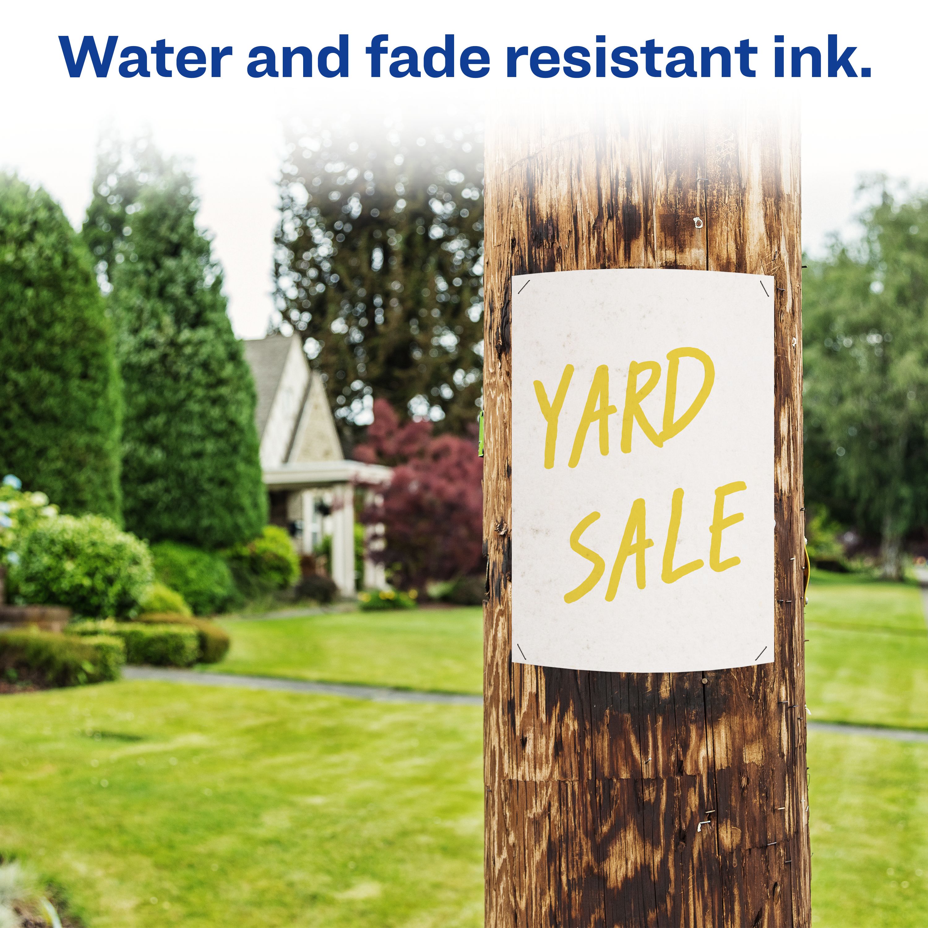 Product 08882 Image 7