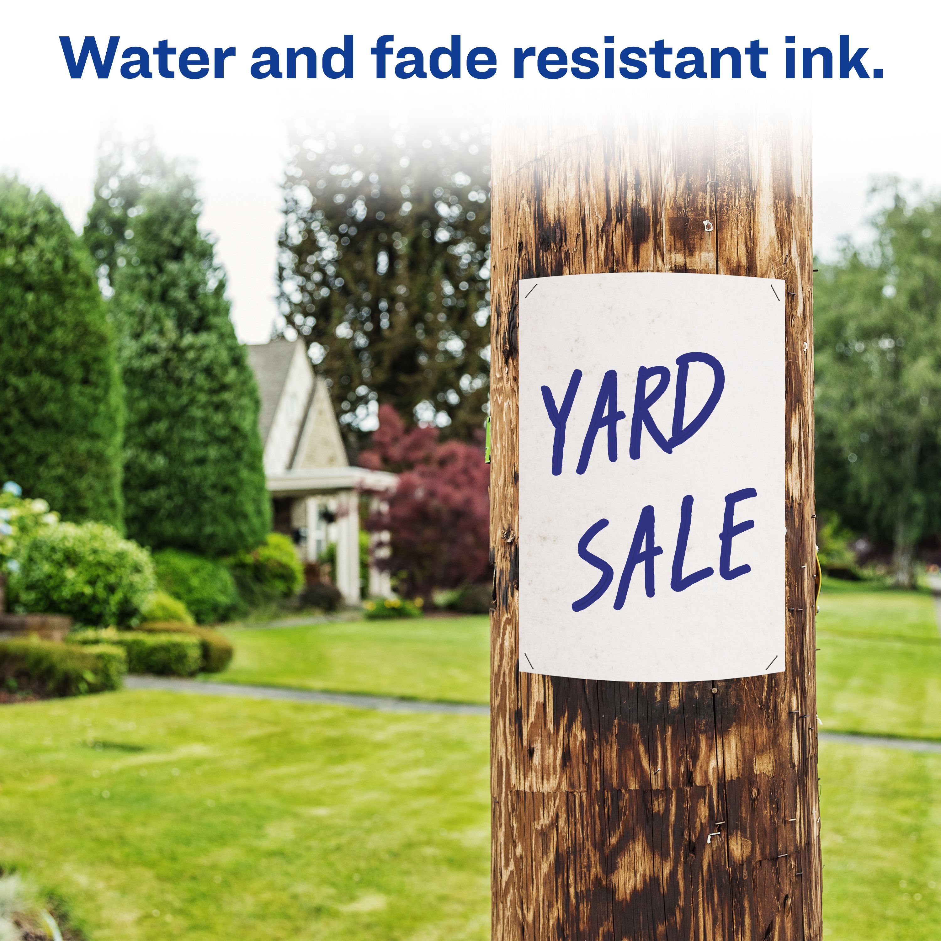 Product 08886 Image 7