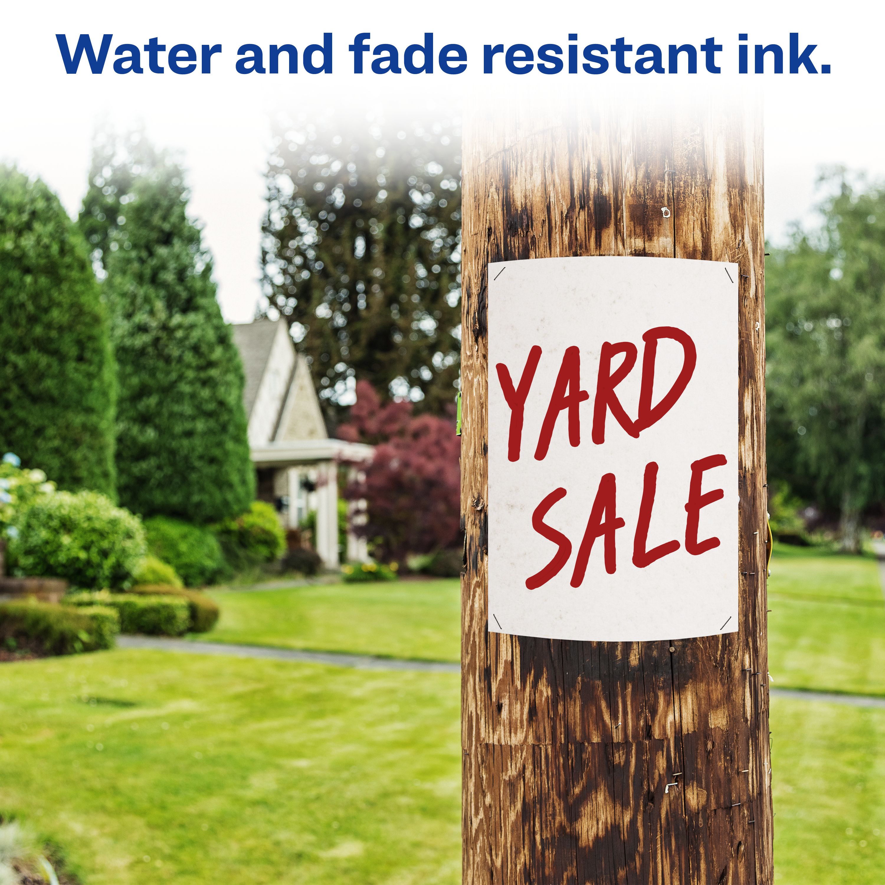 Product 24147 Image 6