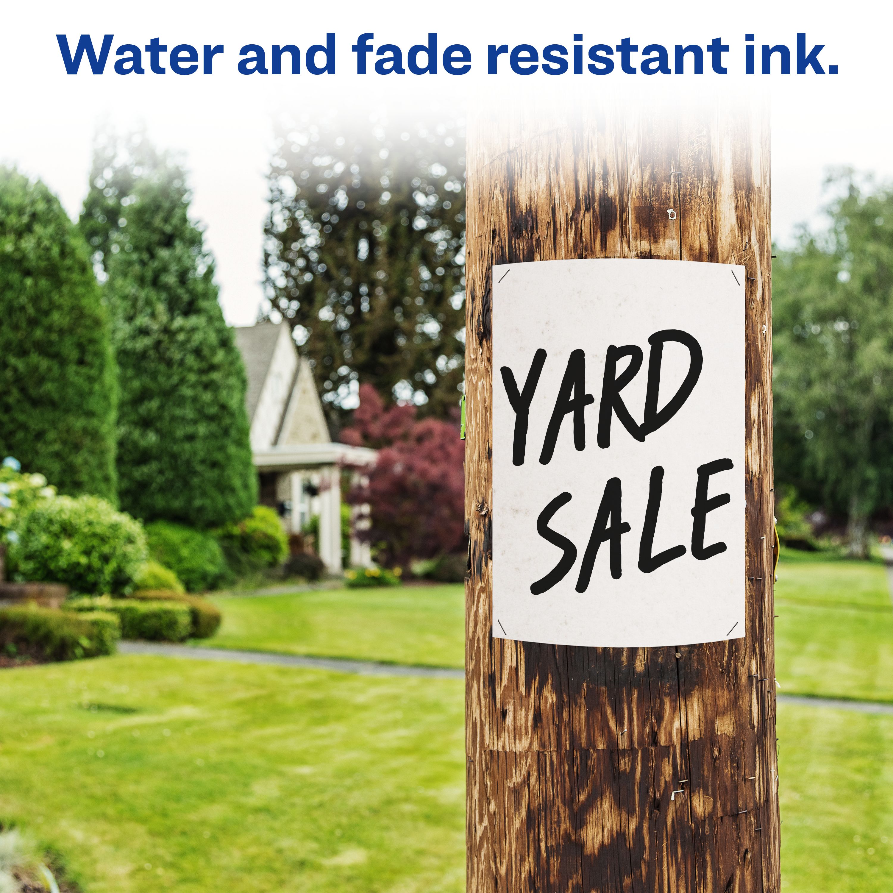 Product 24148 Image 6