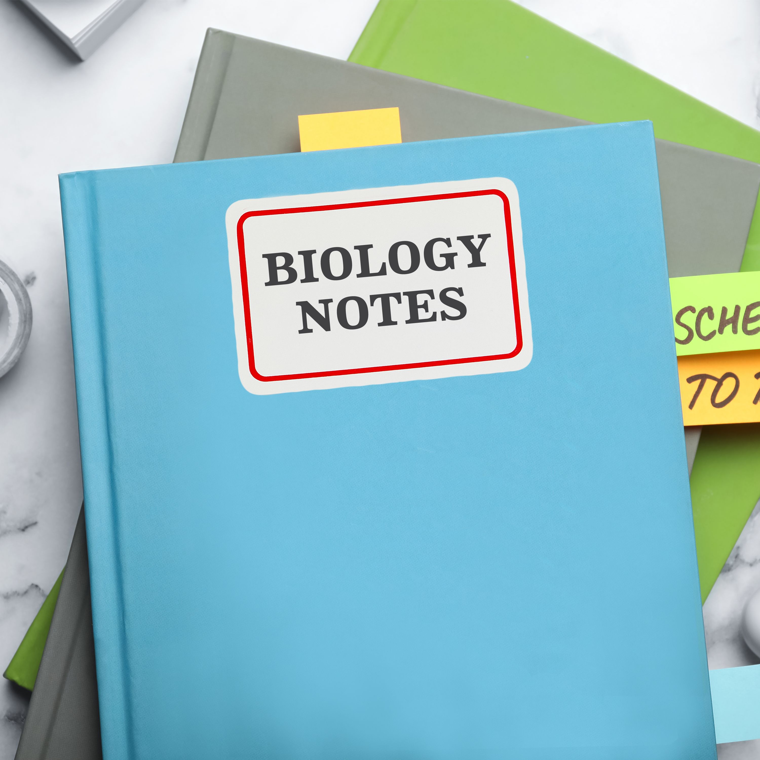 Product 5095 Image 7