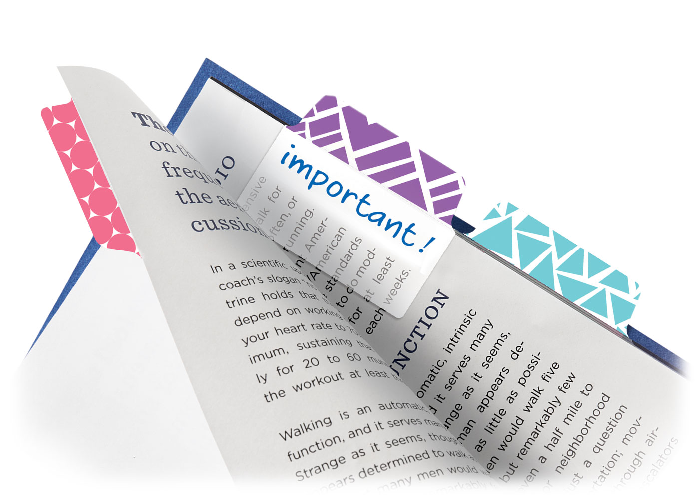 Avery book tabs marking key project sections in a business notebook