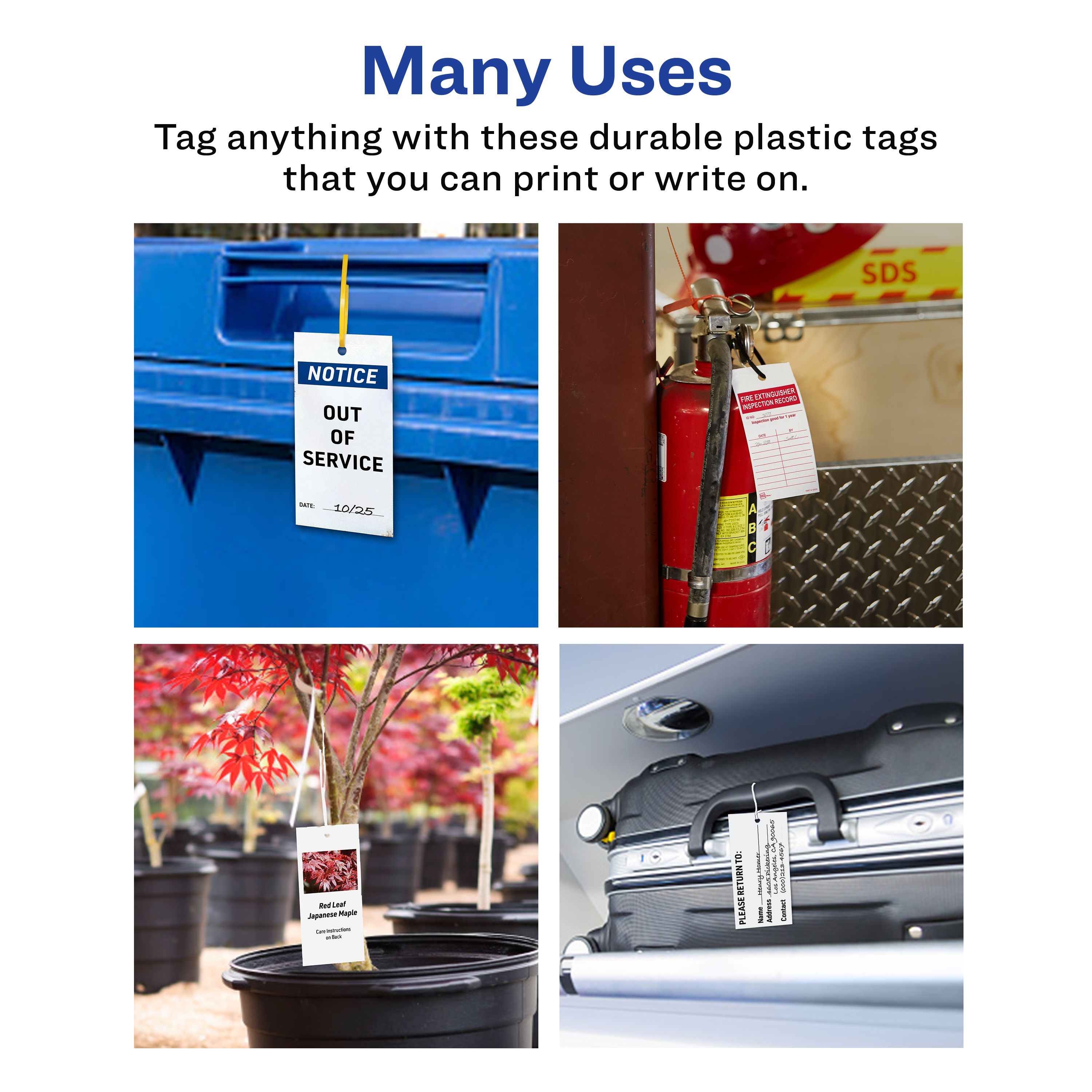 Product 62400 Image 4