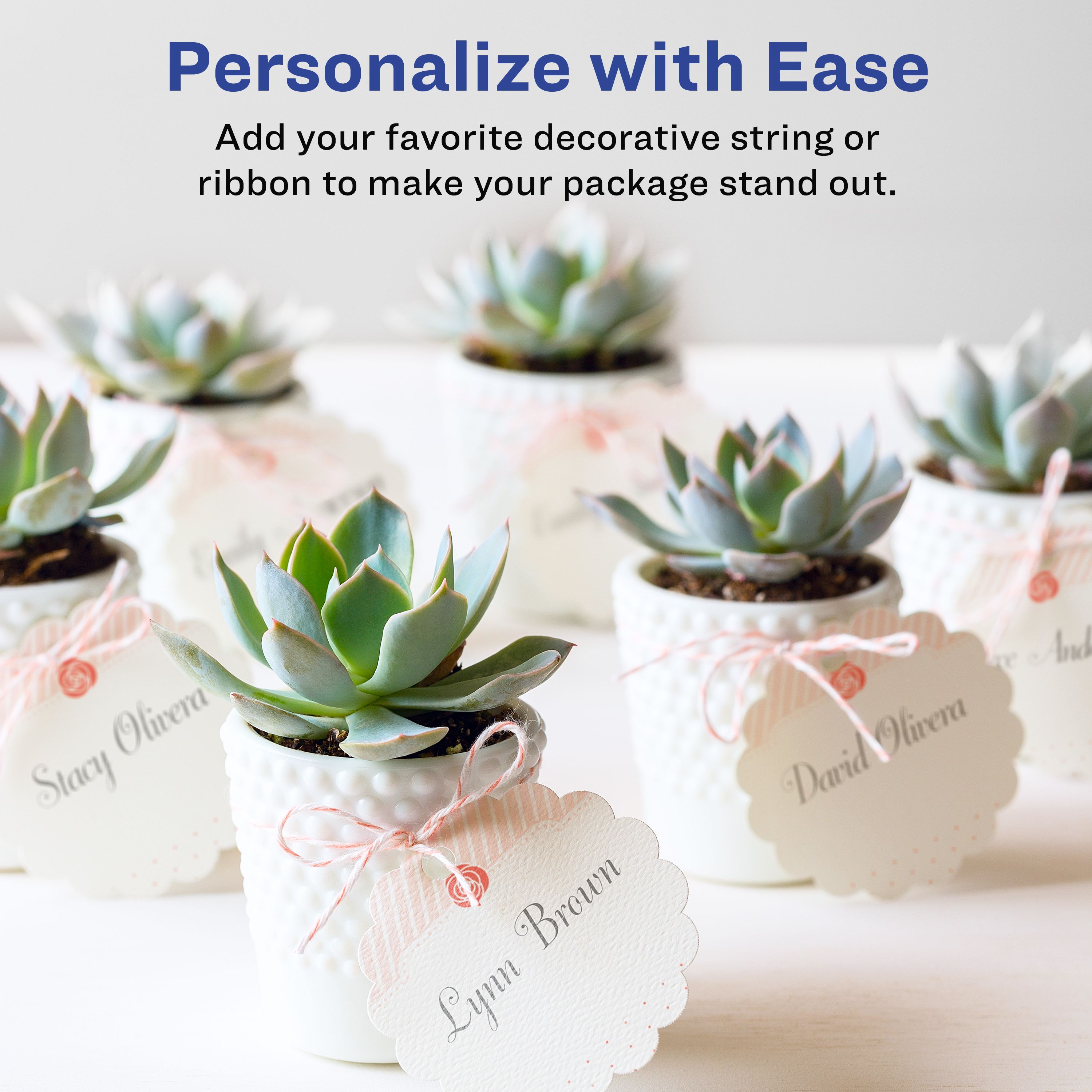 Product 80511 Image 2